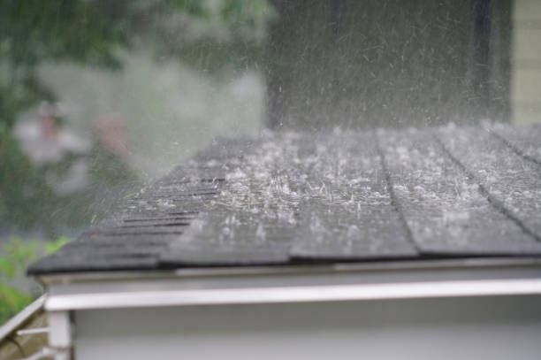 Best Roof Coating and Sealing  in Howell, MI